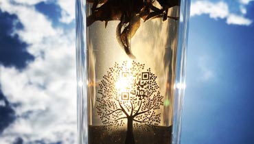 Nachhaltigkeit bei amapodo